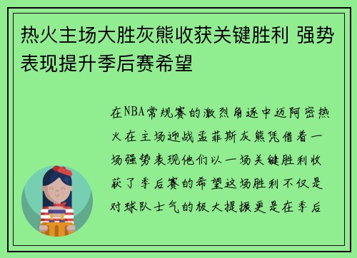 热火主场大胜灰熊收获关键胜利 强势表现提升季后赛希望